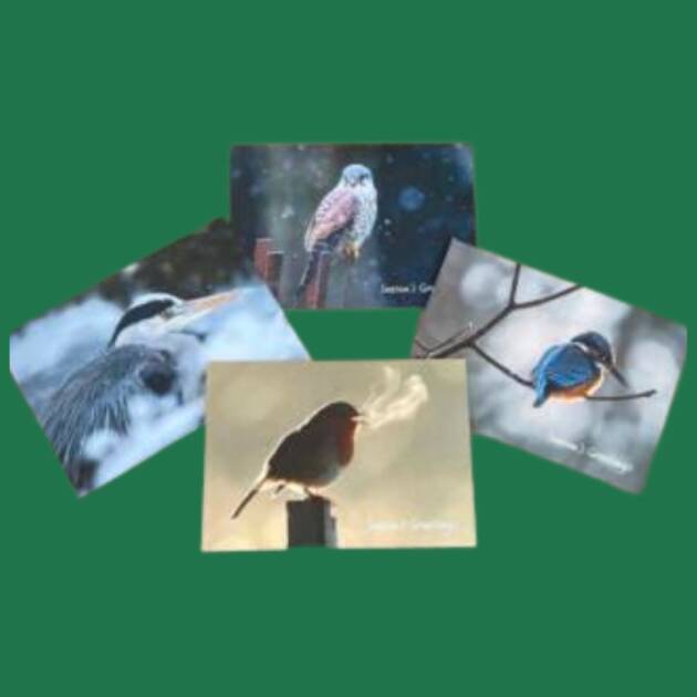 Christmas Cards
