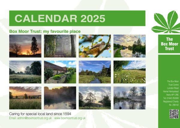 2025 Calendar