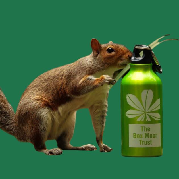 Water bottle