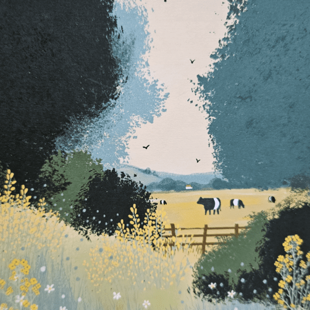 Belted Galloway Card "Field of Dreams"