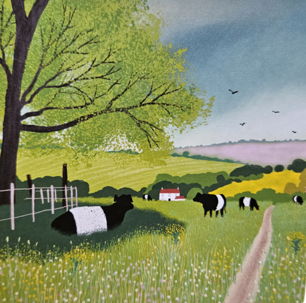 Belted Galloway Card "Pastures New"