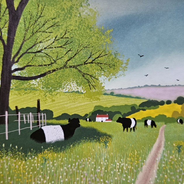 Belted Galloway Card "Pastures New"