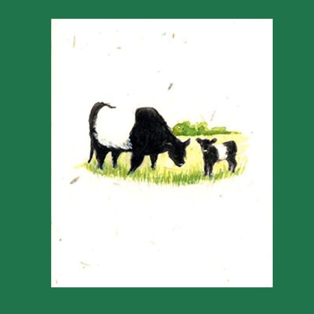 Belted Galloway and Calf Seed Paper Greeting Card