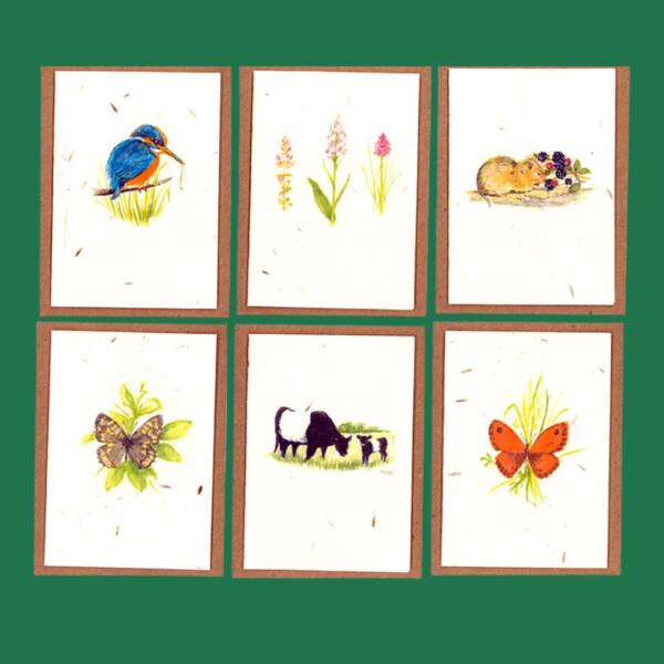 Seed Paper Gift cards - Set of 6