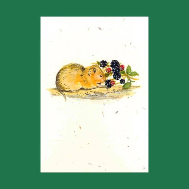 Water Vole Seed Paper Greeting Card