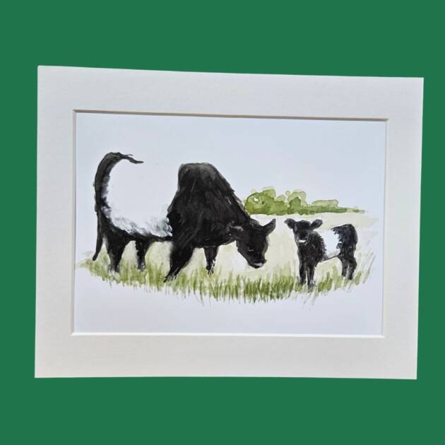 10x8 Mounted fine art cow print