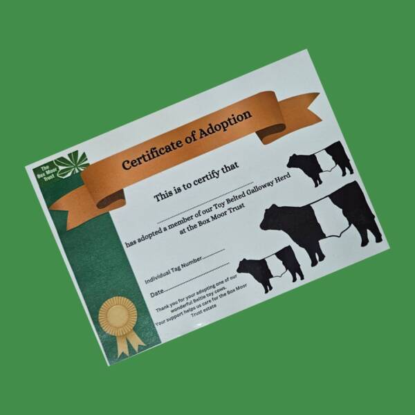 Certificate of Adoption