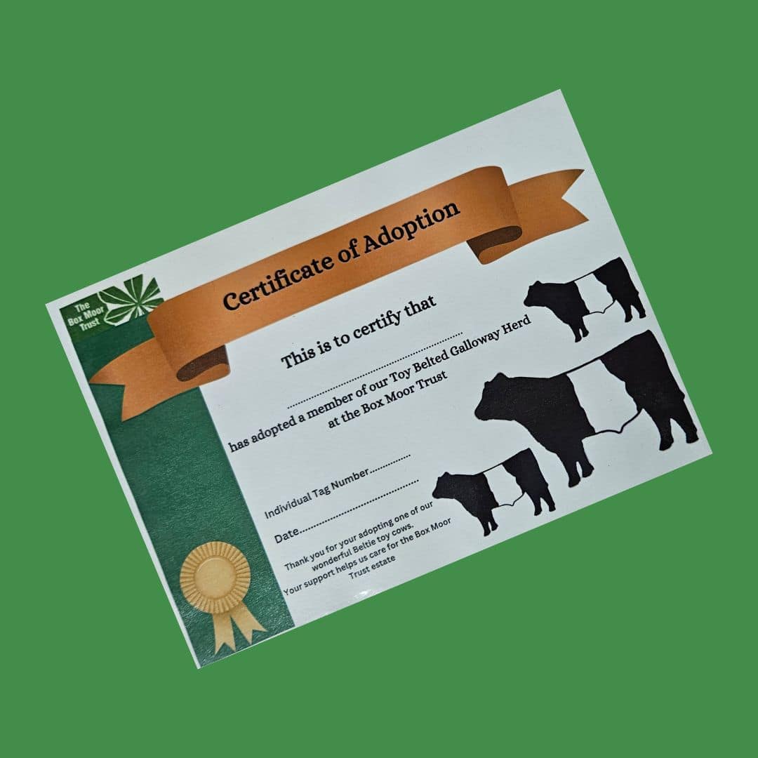 Certificate of Adoption