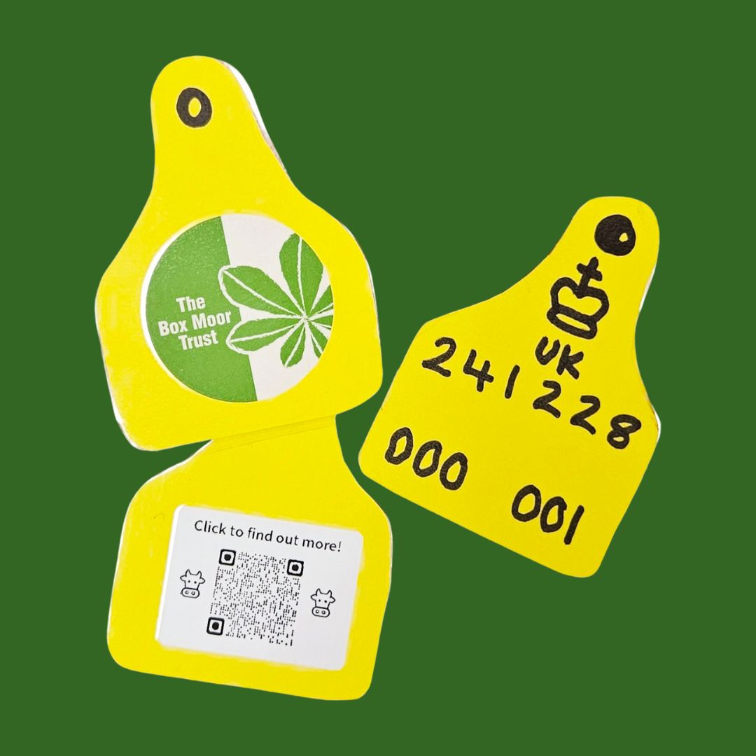 ear tags