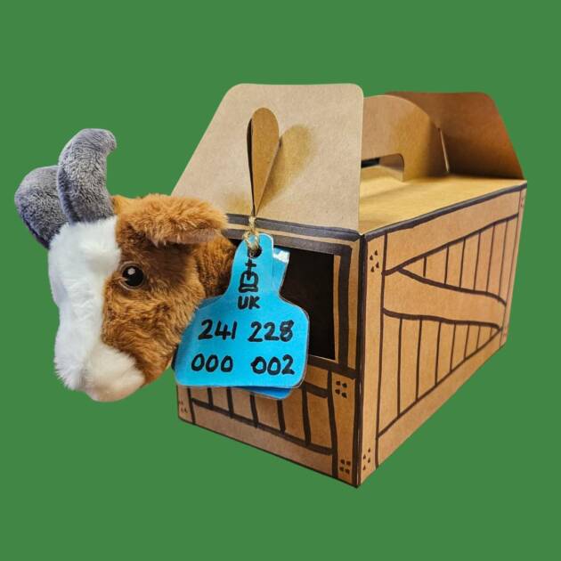 Goat Adoption pack
