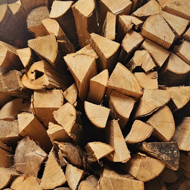 Firewood