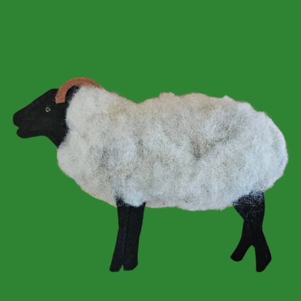 Sheep Decoration